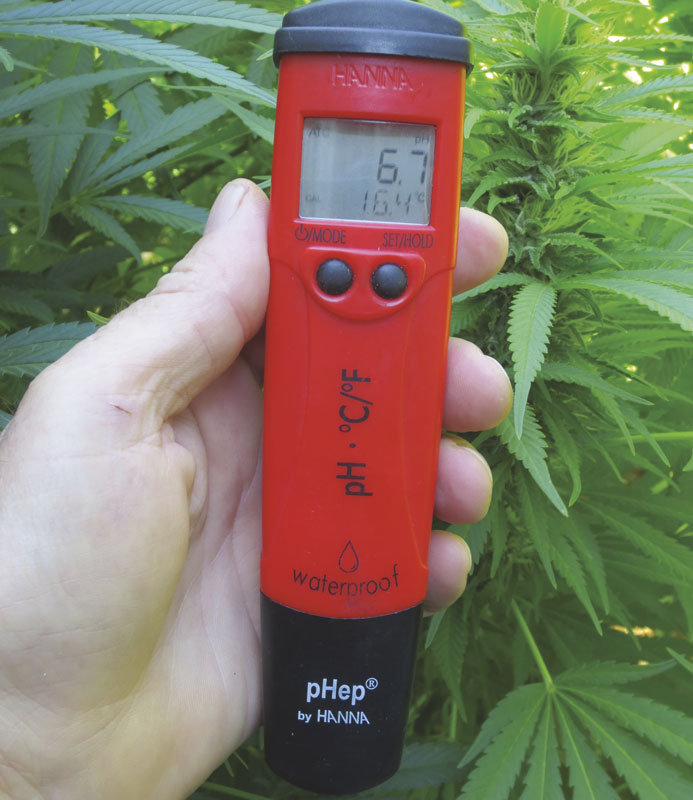 Always measure the pH and EC/PPM of the nutrient solutions in the hydroponic reservoir and the runoff after irrigating. (source: the Cannabis Encyclopedia)